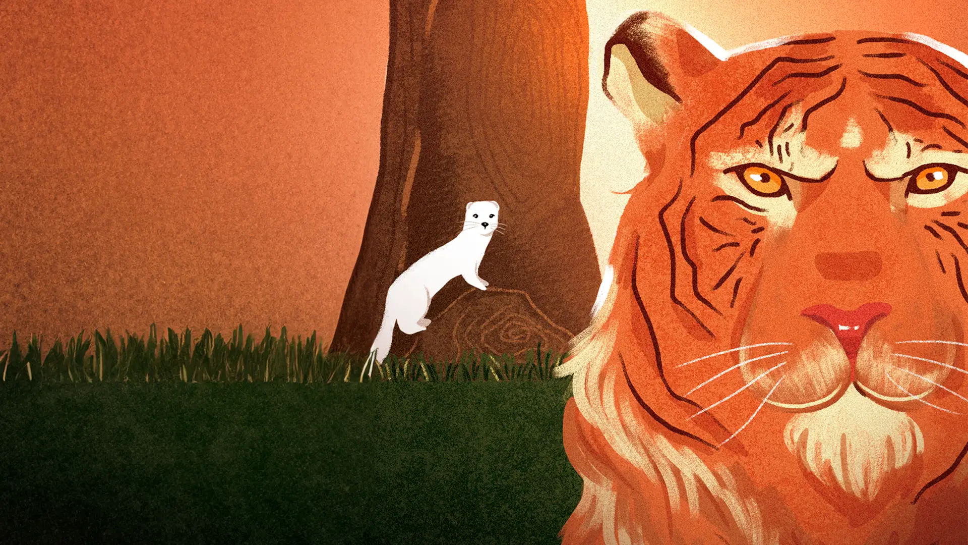 Lição II – O Tigre e a Doninha