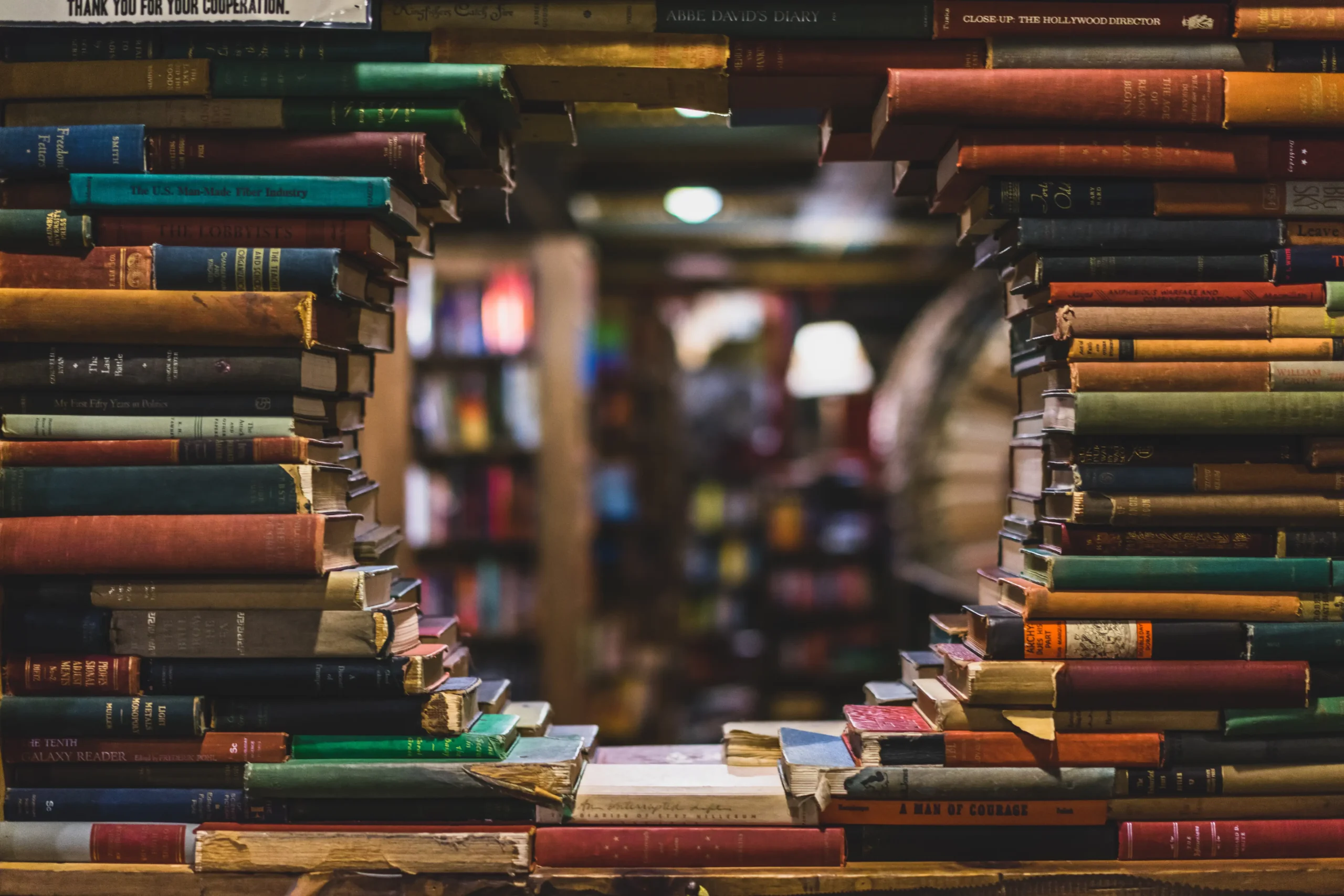 Camões: Resumo Biográfico